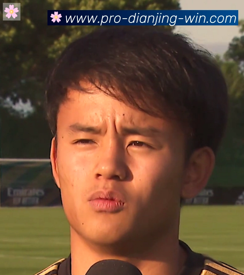 维尼修斯